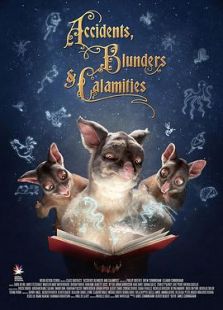 事故、错误和灾难